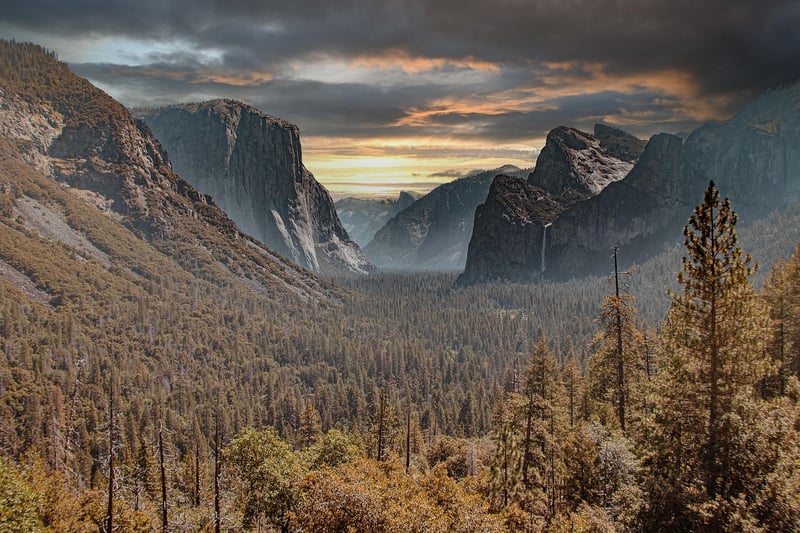 Camping Spots